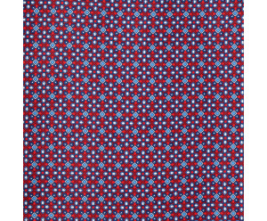 FOULARDS ASCOTS Ascot - 100% soie - 119 2