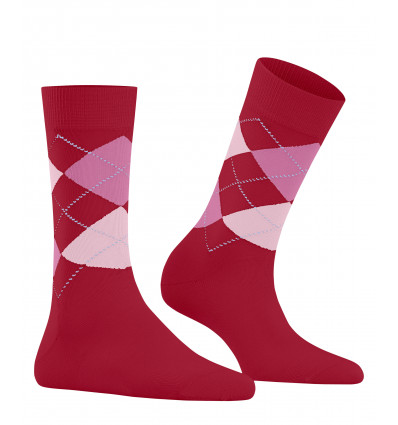 Socks in Paris Colombine and Arlequin