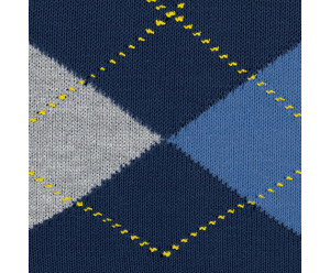 Chaussettes burlington femme 2