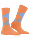 burlington women socks