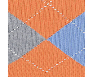 Chaussettes burlington femme 2