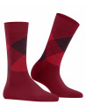burlington women socks