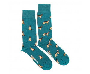 chaussettes dépareillées chien