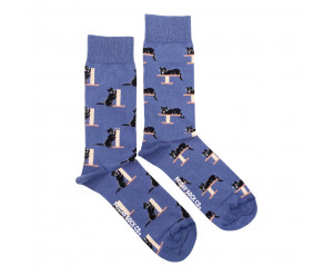 chaussettes dépareillées chien