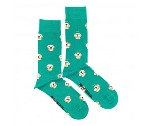 chaussettes dépareillées labrador