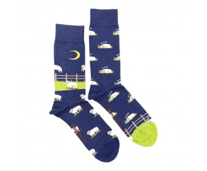 chaussettes dépareillées