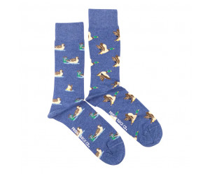 chaussettes dépareillées canards