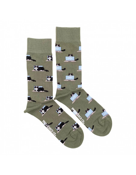 chaussettes dépareillées chats