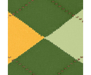 Chaussette burlington homme 2