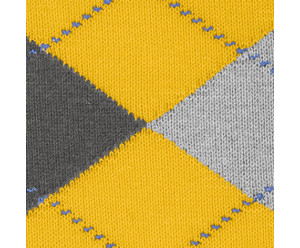 Chaussette burlington homme 2