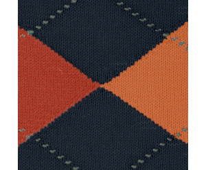 Chaussette burlington homme 2