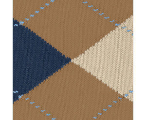 Chaussette burlington homme 2