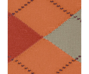 Chaussette burlington homme 2