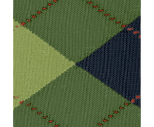 Chaussette burlington homme 2