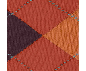 Chaussette burlington homme 2