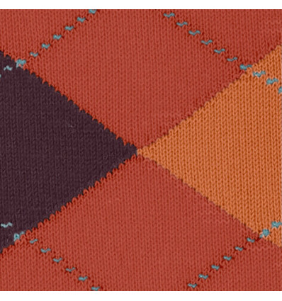 Chaussette burlington homme