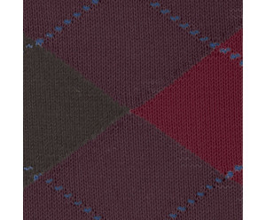 Chaussette burlington homme 2