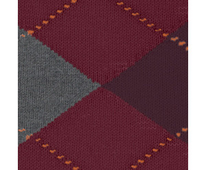 Chaussette burlington homme 2