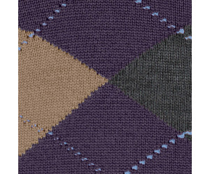 Chaussette burlington homme 2