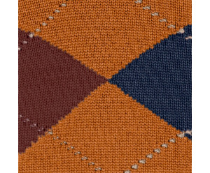 Chaussette burlington homme 2