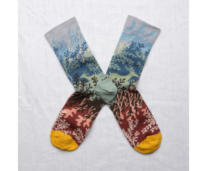 chaussette Bonne maison