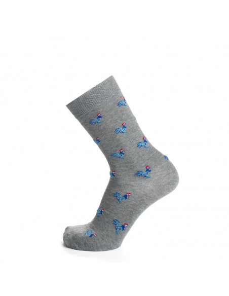 chaussettes fantaisies