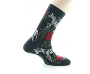 Dagobert à l'envers (Perrin) - Zebras