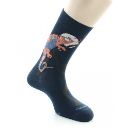 chaussettes fantaisies Labonal homme