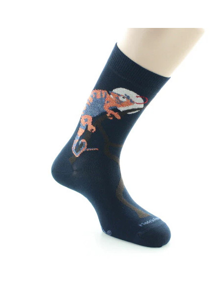 chaussettes fantaisies Labonal homme