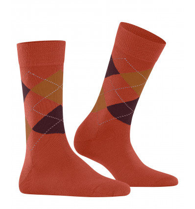 Socks in Paris Colombine and Arlequin