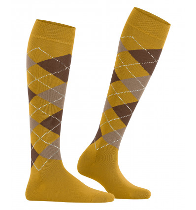 Socks in Paris Colombine and Arlequin