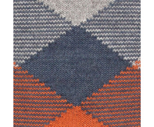 Chaussette burlington homme 2