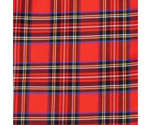 Socks in Paris Colombine and Arlequin 2