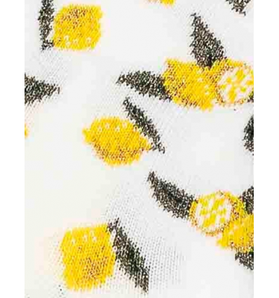 Maison Broussaud - les citrons