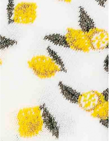 Maison Broussaud - les citrons