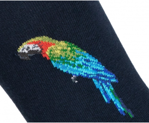 Maison Broussaud - Parrot 2