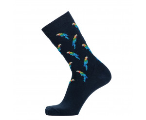 Maison Broussaud - Parrots