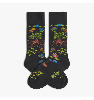 chaussette harry potter