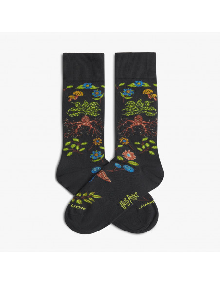 chaussette harry potter