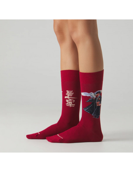 chaussette harry potter
