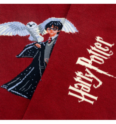 chaussette harry potter