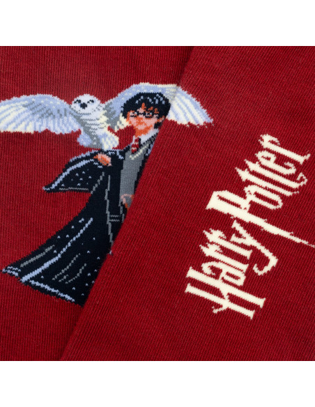 chaussette harry potter