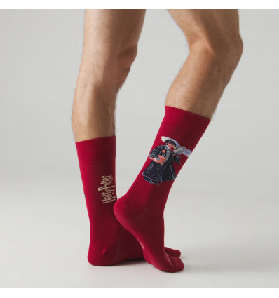 chaussette harry potter