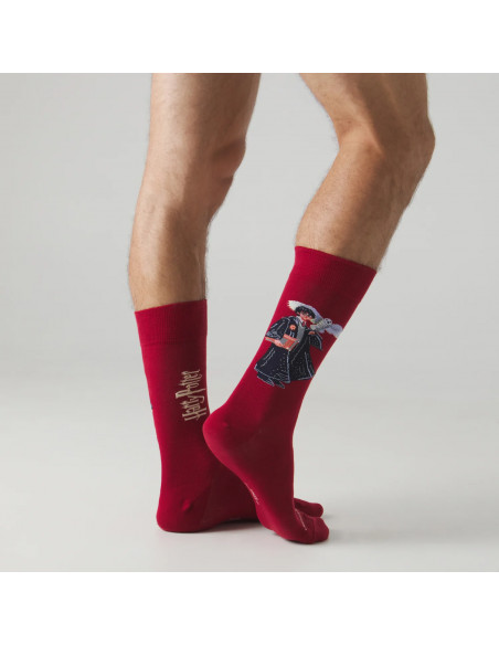 chaussette harry potter