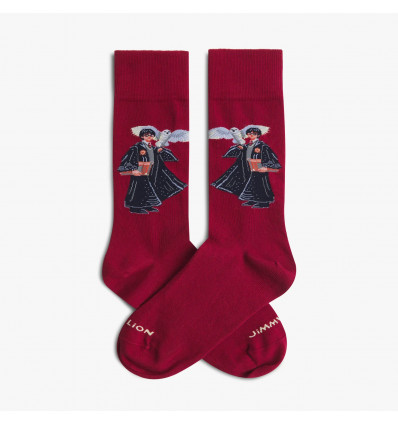 chaussette harry potter