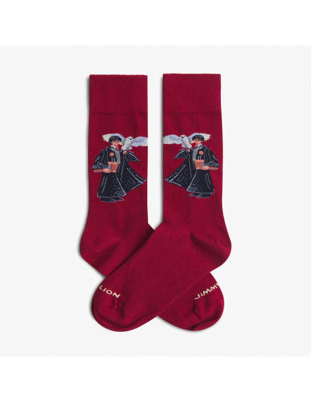 chaussette harry potter