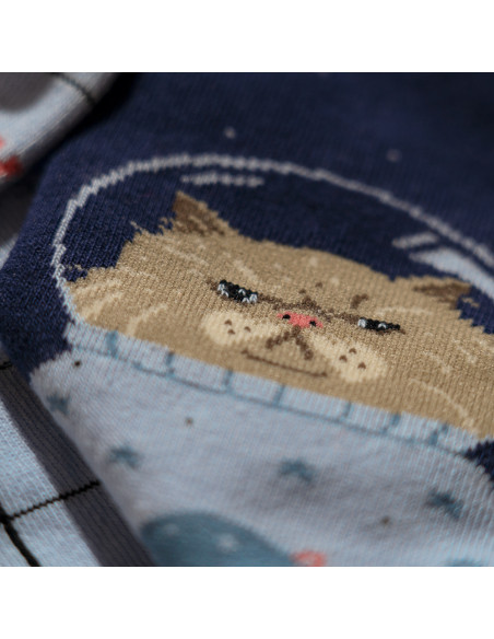 Chaussette chats dans l'espace