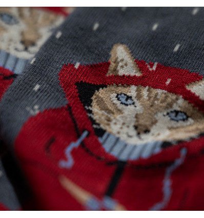 Chaussette chats