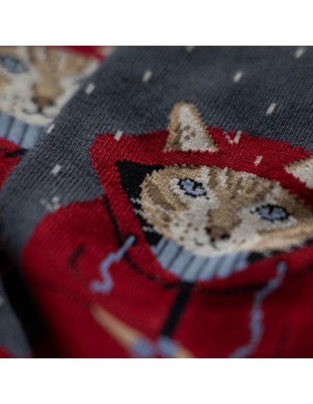 Chaussette chats